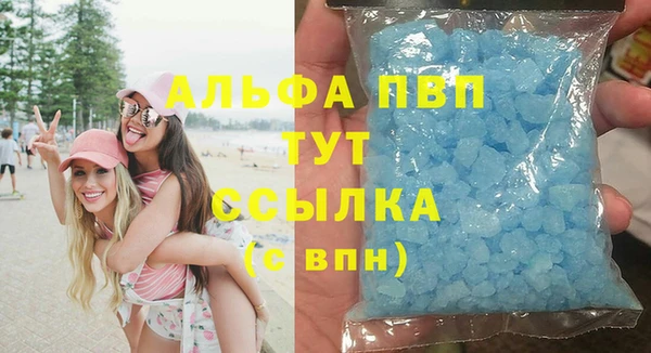 мяу мяу мука Баксан