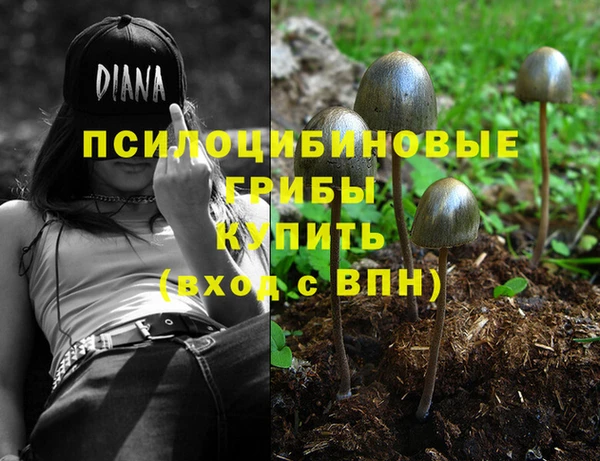 молекула духа Новозыбков